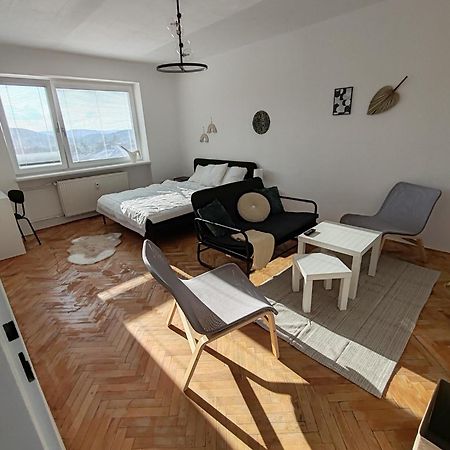 Apartman Brezinova Brno Bagian luar foto